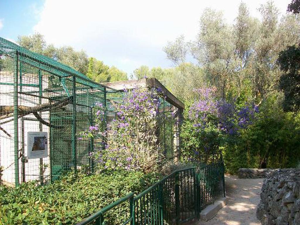 183 D21 SANARY SUR MER 1_000054.jpg